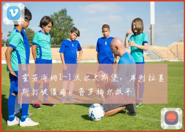 霍芬海姆1-1沃尔夫斯堡，库列拉基斯打破僵局，普罗梅尔扳平